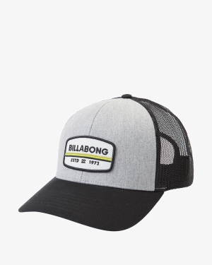 Chlapecké Klobouky Billabong Walled Trucker Černé Šedé | 0246158-GU