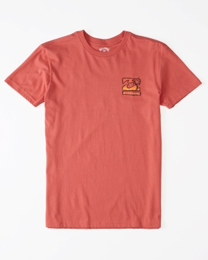 Chlapecké Tričko Billabong BBTV 2 Krátké Sleeve Růžové | 1726904-DY