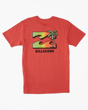 Chlapecké Tričko Billabong BBTV Krátké Sleeve Koralove | 7293184-SA