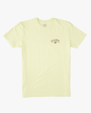 Chlapecké Tričko Billabong Theme Arch Krátké Sleeve Světle Zelene | 5640782-DO