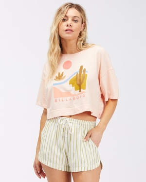 Dámské Šortky Billabong Silniční Trippin Elastic Pasem Světle Blankyt | 2184576-EZ