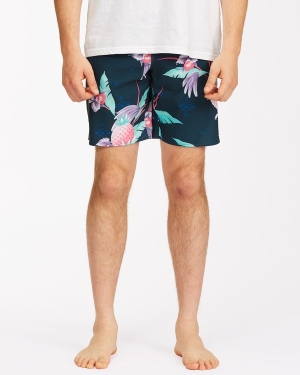 Pánské Boardshortky Billabong Sundays Pro 19 Tmavě Blankyt | 3762015-ON