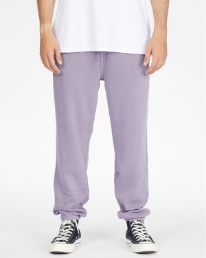 Pánské Tepláky Billabong Wave Washed Unity Fialové | 2691784-NO
