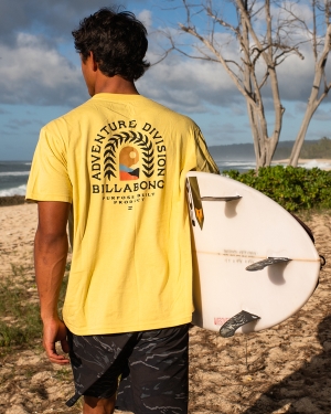 Pánské Tričko Billabong A/Div Ingress Organic Krátké Sleeve Světle | 4051372-EO