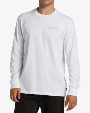 Pánské Tričko Billabong Arch Fill Long Sleeve Bílé | 1705369-HF