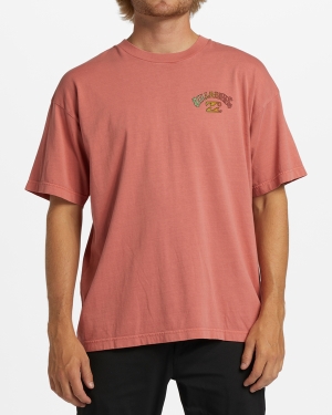 Pánské Tričko Billabong Arch Wave Washed Krátké Sleeve Koralove | 2059146-RF